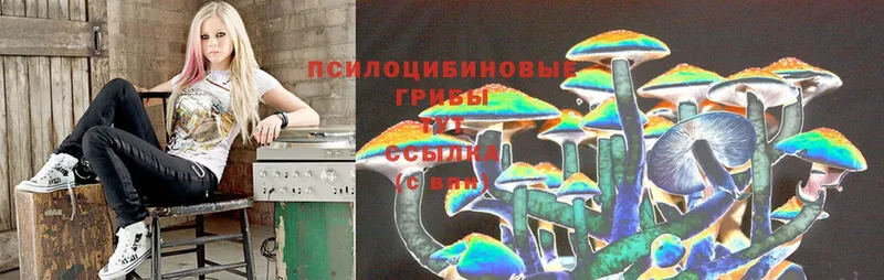 Псилоцибиновые грибы Psilocybine cubensis  гидра рабочий сайт  Краснозаводск 